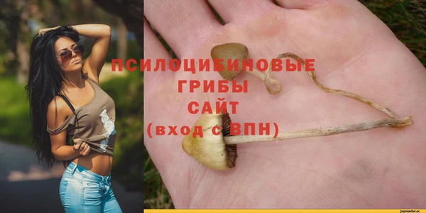 марки nbome Бердск