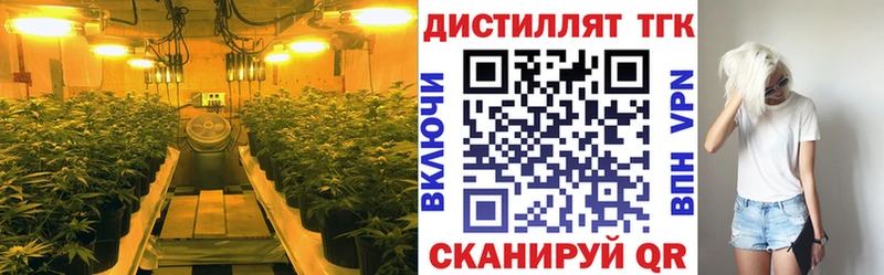 ТГК THC oil  купить закладку  Пойковский 