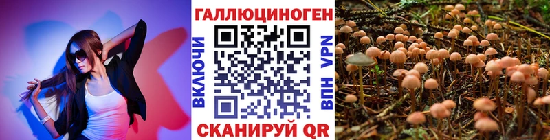 как найти наркотики  Пойковский  Псилоцибиновые грибы Psilocybe 