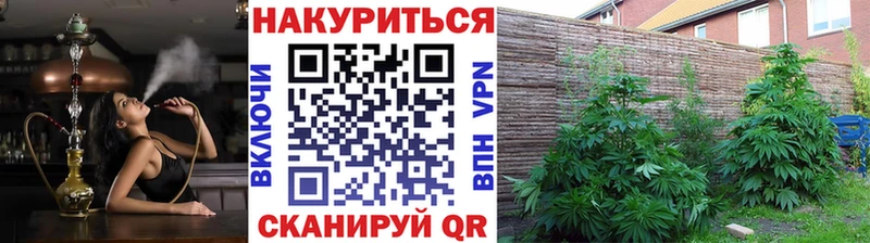 Бошки марихуана индика  Пойковский 